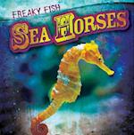 Sea Horses