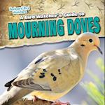 Bird Watcher's Guide to Mourning Doves