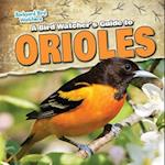 A Bird Watcher's Guide to Orioles