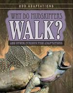 Why Do Mudskippers Walk?