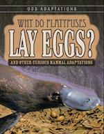 Why Do Platypuses Lay Eggs?