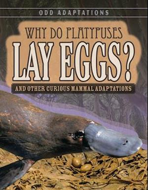 Why Do Platypuses Lay Eggs?