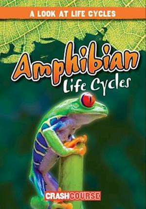 Amphibian Life Cycles