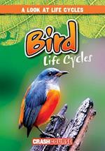 Bird Life Cycles