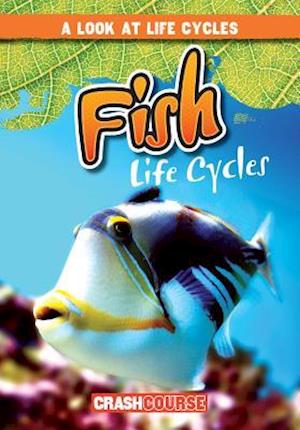 Fish Life Cycles