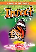 Insect Life Cycles