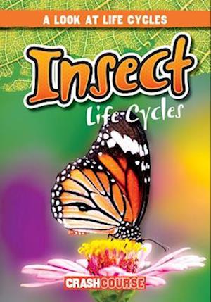 Insect Life Cycles