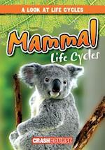 Mammal Life Cycles