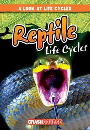 Reptile Life Cycles