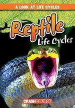 Reptile Life Cycles