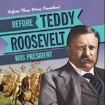 Before Teddy Roosevelt Was President