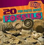 20 Fun Facts About Fossils