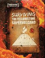 Surviving the Yellowstone Supervolcano