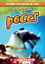 Los ciclos de vida de los peces (Fish Life Cycles)