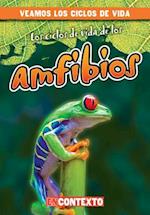 Los Ciclos de Vida de Los Anfibios (Amphibian Life Cycles)