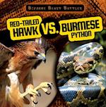 Red-Tailed Hawk vs. Burmese Python