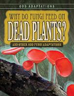 Why Do Fungi Feed on Dead Plants?
