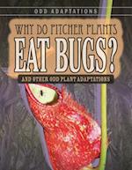 Why Do Pitcher Plants Eat Bugs?