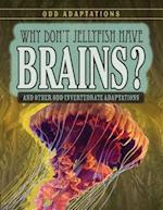 Why Don't Jellyfish Have Brains?
