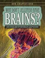 Why Don't Jellyfish Have Brains?