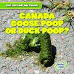 Canada Goose Poop or Duck Poop?