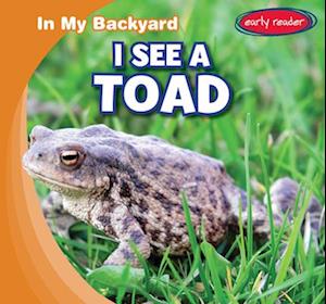 I See a Toad