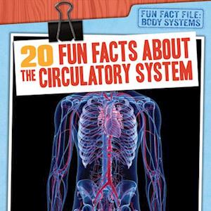 20 Fun Facts About the Circulatory System