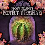 How Plants Protect Themselves