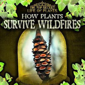 How Plants Survive Wildfires