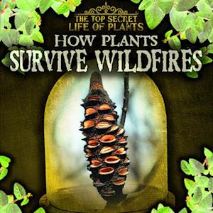 How Plants Survive Wildfires