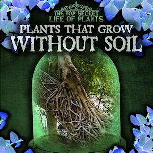 Plants That Grow Without Soil