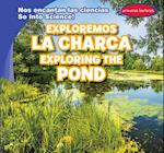 Exploremos la charca / Exploring the Pond