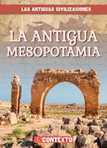 La Antigua Mesopotamia (Ancient Mesopotamia)