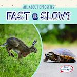 Fast or Slow?