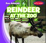 Reindeer at the Zoo