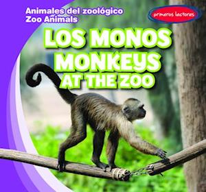 Los monos / Monkeys at the Zoo