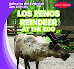 Los renos / Reindeer at the Zoo