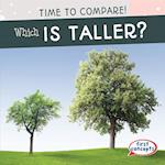 Which Is Taller?