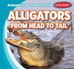 Alligators from Head to Tail