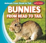 Bunnies from Head to Tail