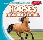 Horses from Head to Tail