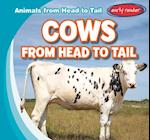 Cows from Head to Tail