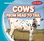 Cows from Head to Tail