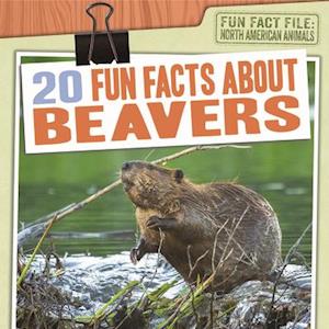 20 Fun Facts about Beavers