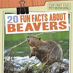 20 Fun Facts about Beavers