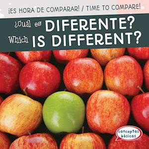 Cual es diferente? / Which Is Different?