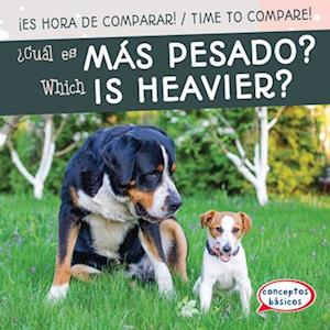 Cual es mas pesado? / Which Is Heavier?