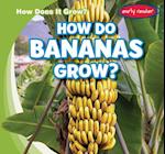 How Do Bananas Grow?