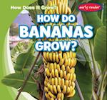 How Do Bananas Grow?