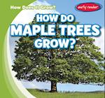 How Do Maple Trees Grow?